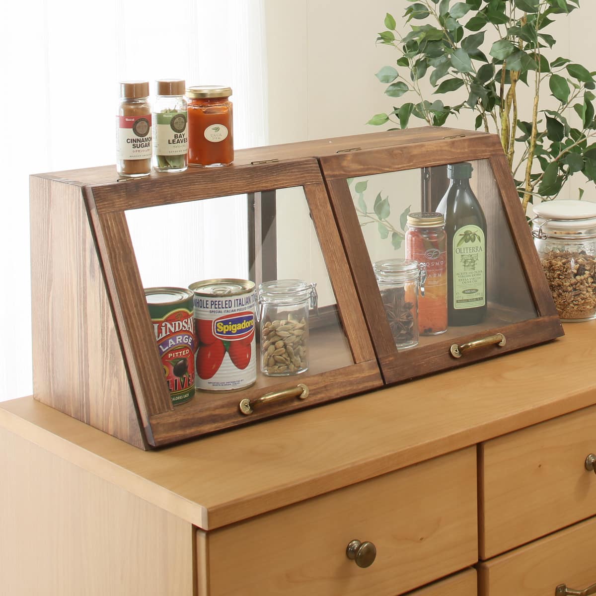 560987901.jpg?ts=20250416143639761