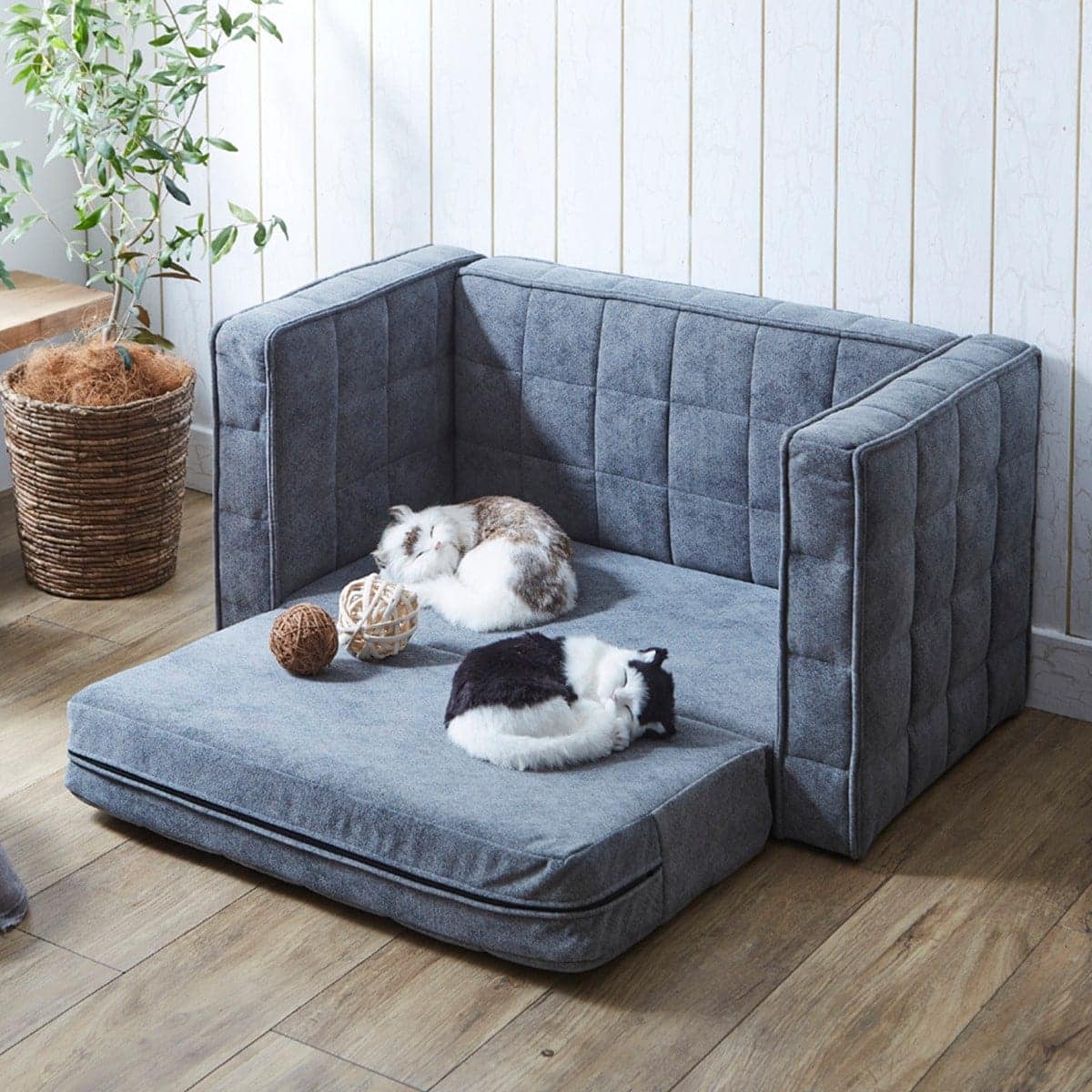 569063901.jpg?ts=20240108154747136