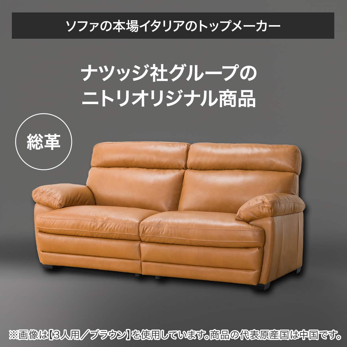 2人掛けソファ 本革タイプ (Z278KD DBR) | ニトリネット【公式】 家具