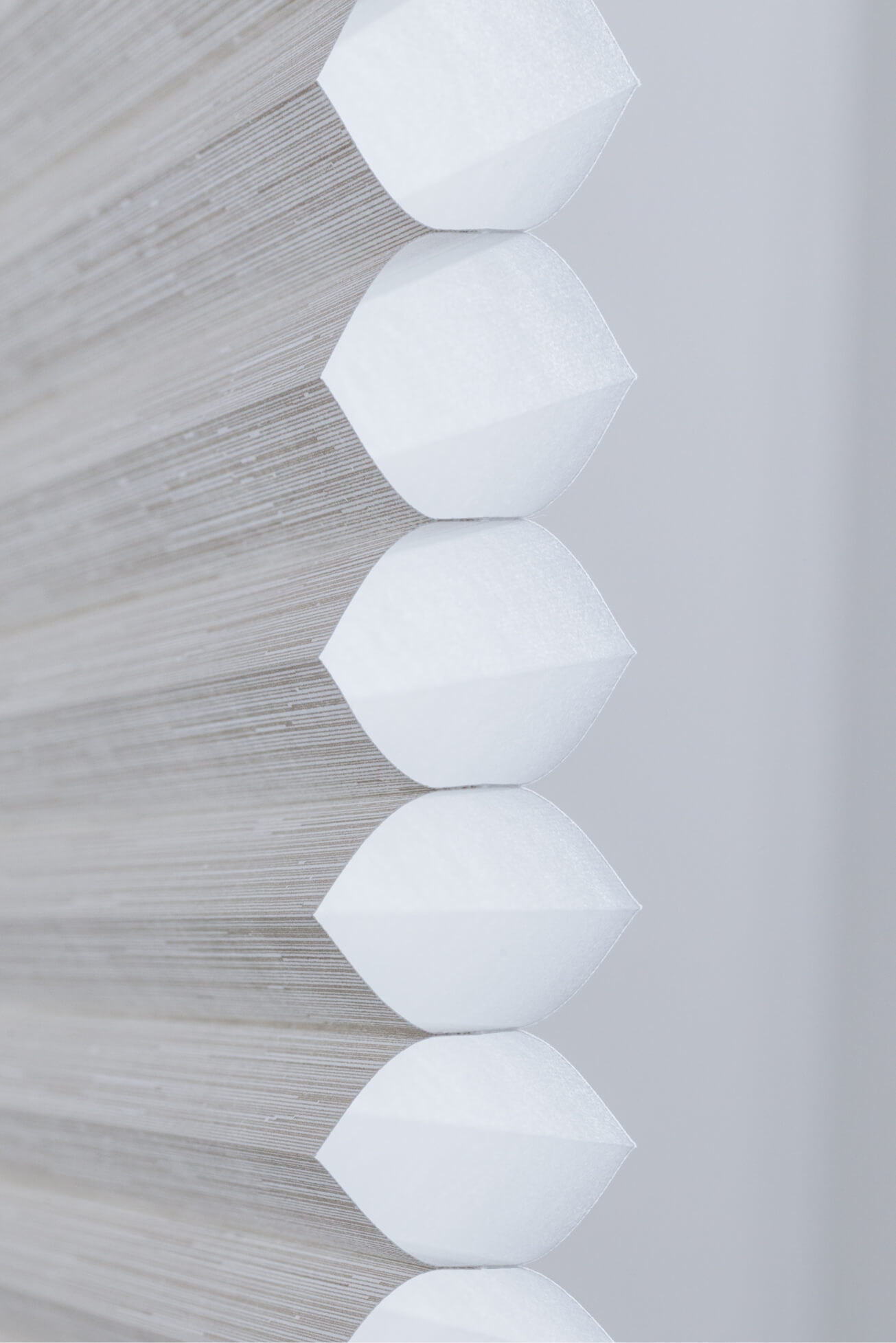 ハニカムスクリーン レフィーナ25・45 specialpage | ホームユース商品