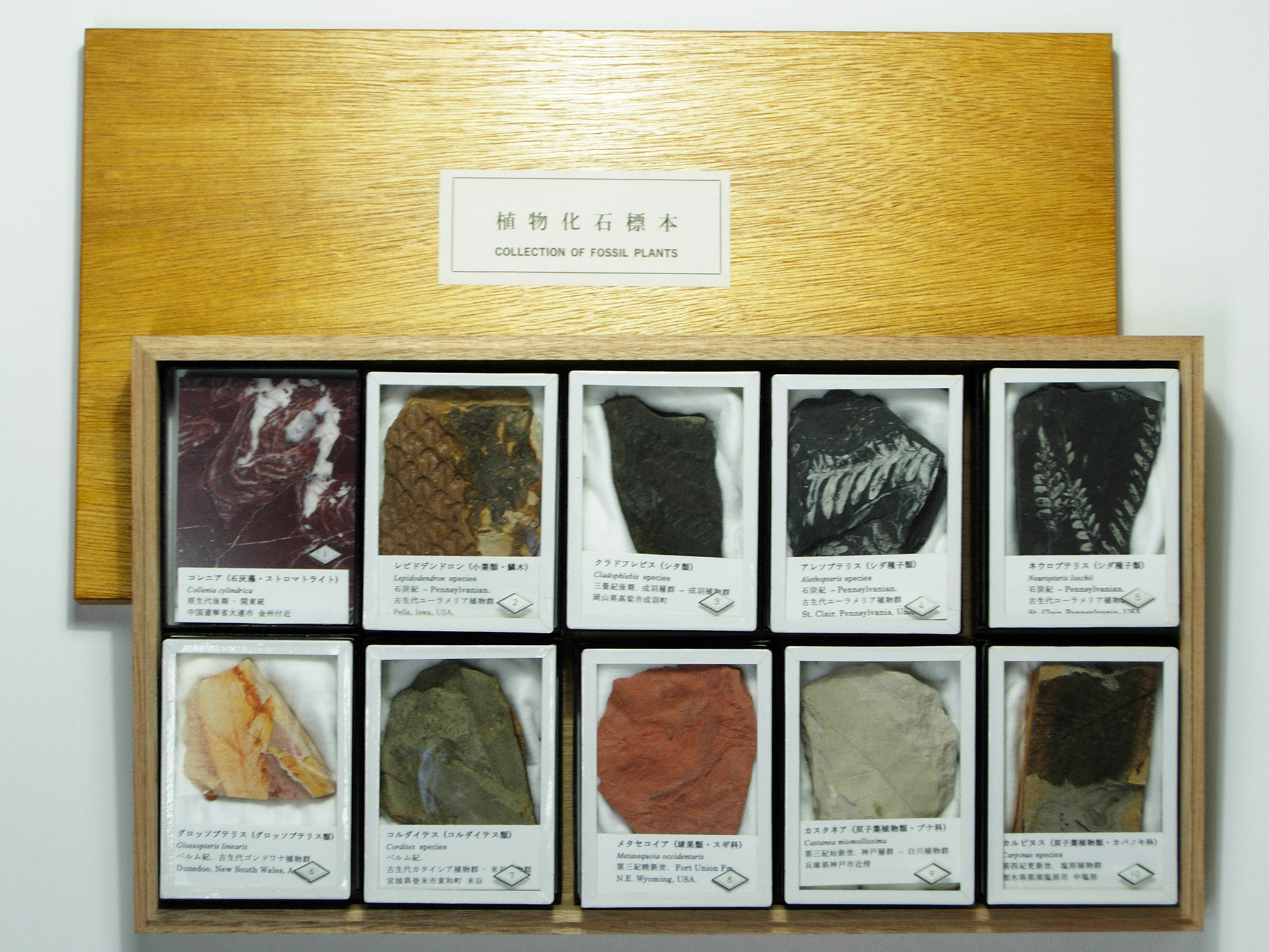 株式会社ニチカ 地質科学の専門商社