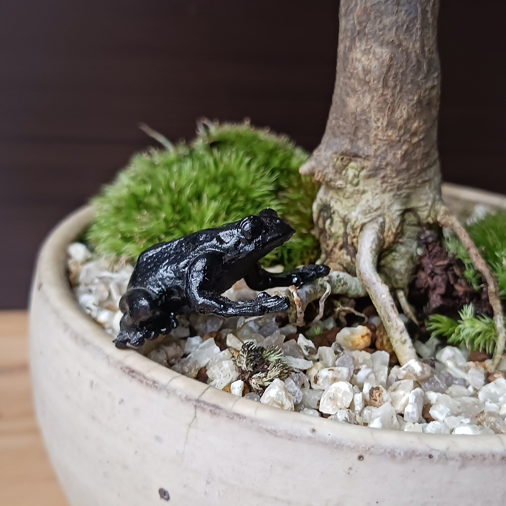 ミニチュア 添配 盆景 蝋型鋳物 銅製 蛙（カエル）オブジェ 枯山水