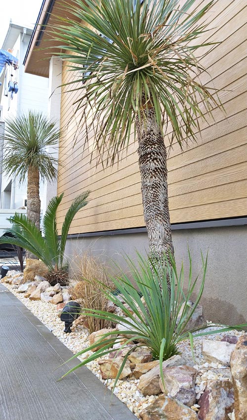 オフィスを楽しく彩る、花壇に施工したドライガーデン-江戸川区東京