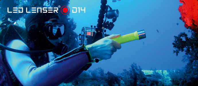 レッドレンザー（LED LENSER) D14(OPT-7456M)