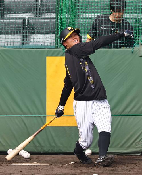 阪神】森下翔太＆才木浩人が侍ジャパン入り、11月「プレミア12」最終