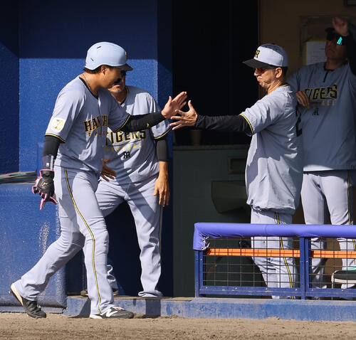 阪神】大山悠輔が貫禄3安打「本人にはもう伝えています」藤川監督が