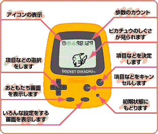 こんな本体だよ！