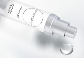 エクシード2点セット | ニッピコラーゲン化粧品ショッピングサイト