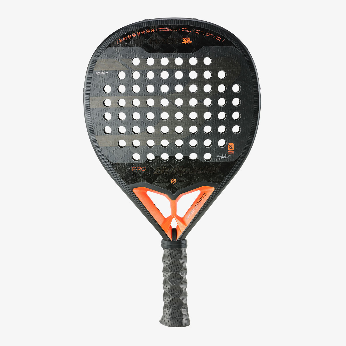 パデル 2024 - 日本パデル - NipponPadel.com