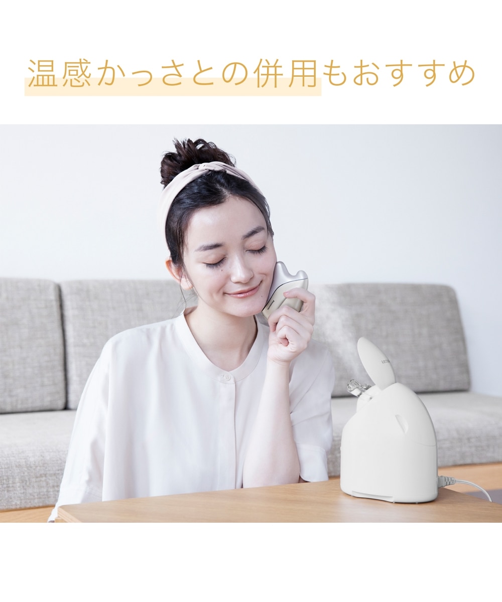 パナソニック スチーマーナノケア コンパクトタイプ（EH-SA3C） 通販