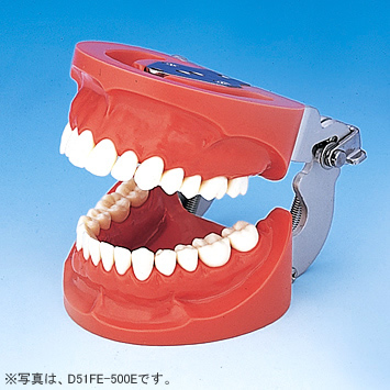 田中朝見 陶材築成インストゥルメントセット ATDJapan