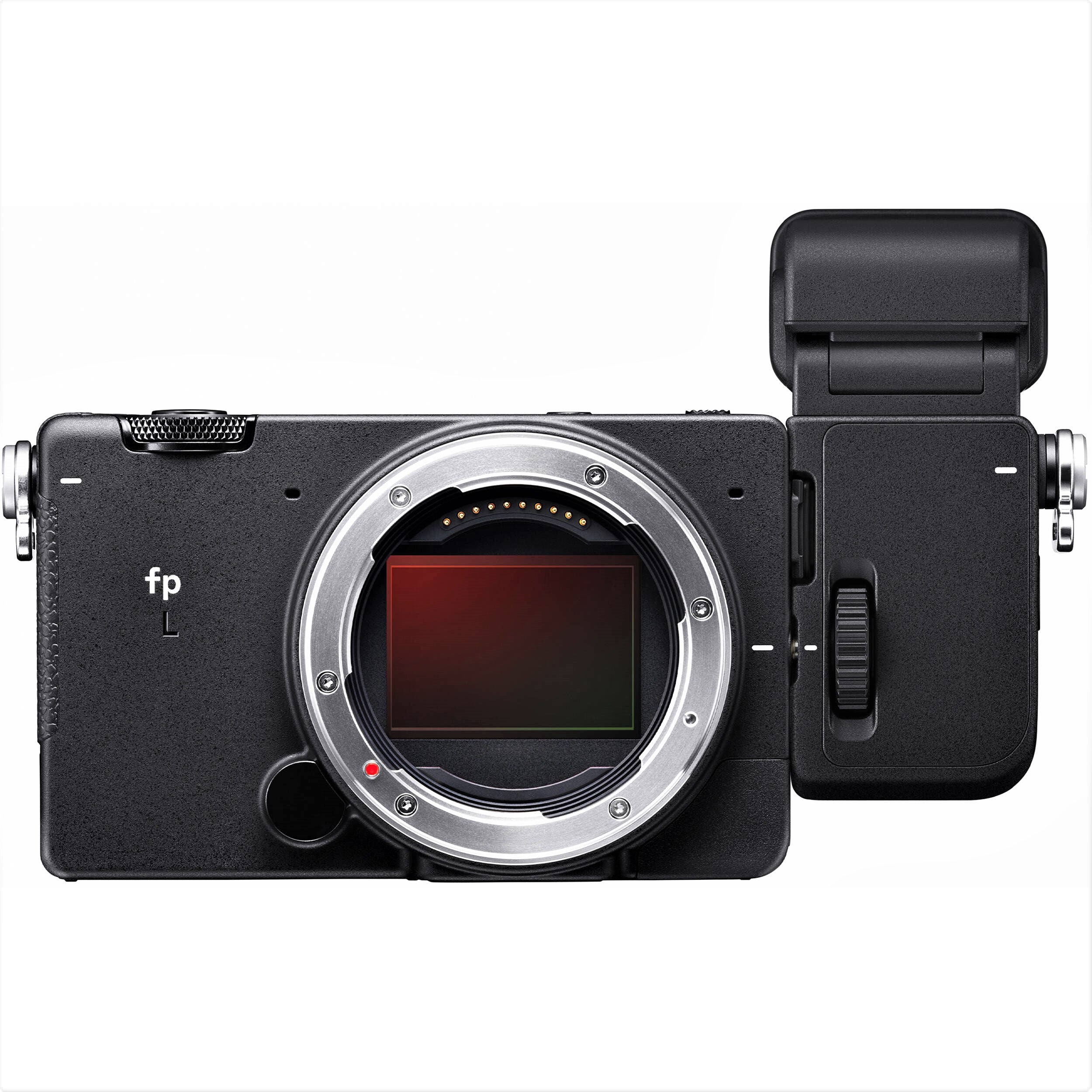 Sigma fp L Mirrorless Camera | Travel Camera