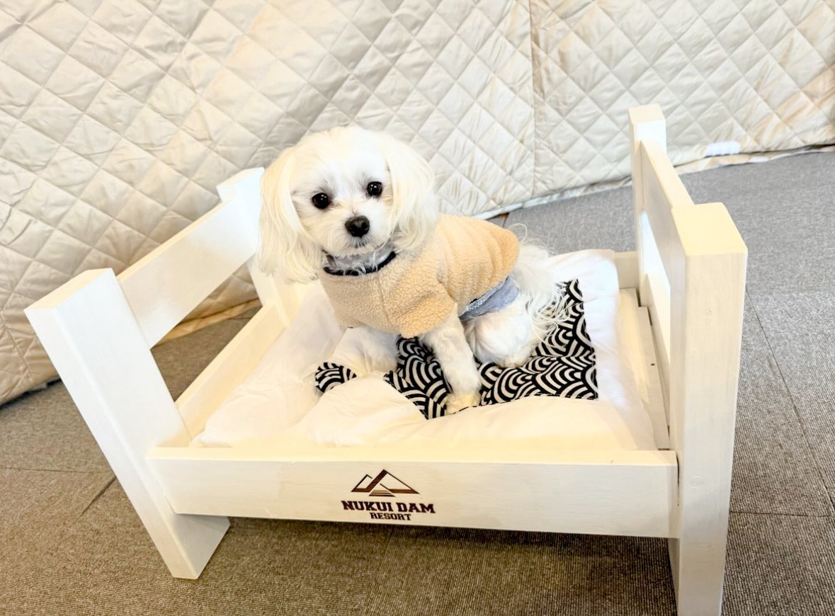 ワンちゃん専用】愛犬用ベッド、全室にご用意🐾 - 【広島】広島ドッグ