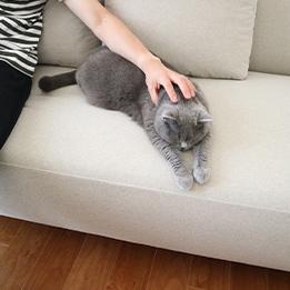 1人掛けソファを探す：カバーリングソファから探す | 日本を代表する