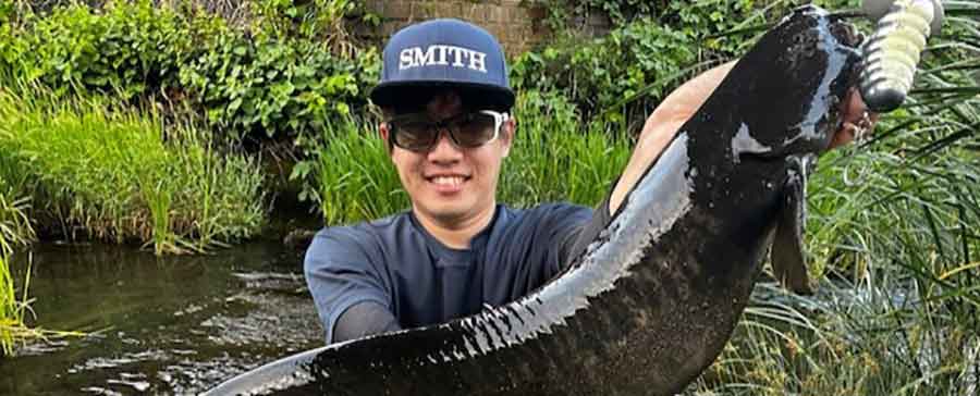 SMITHフィールドレポート