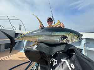 Offshorestick BOW DEVIL