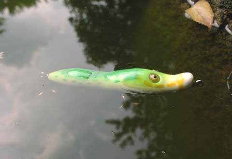 トップウォーター研究室