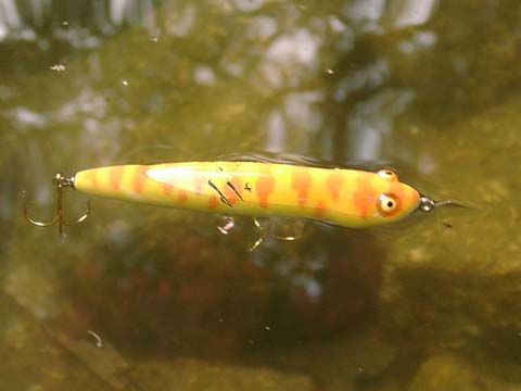 トップウォーター研究室