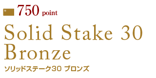 ソリッドステーク ブロンズ ｜ポイントギフト｜ポイントカード会員