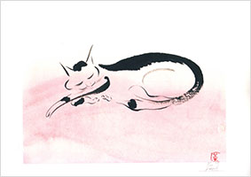 書家 増永広春 | オンラインショップ