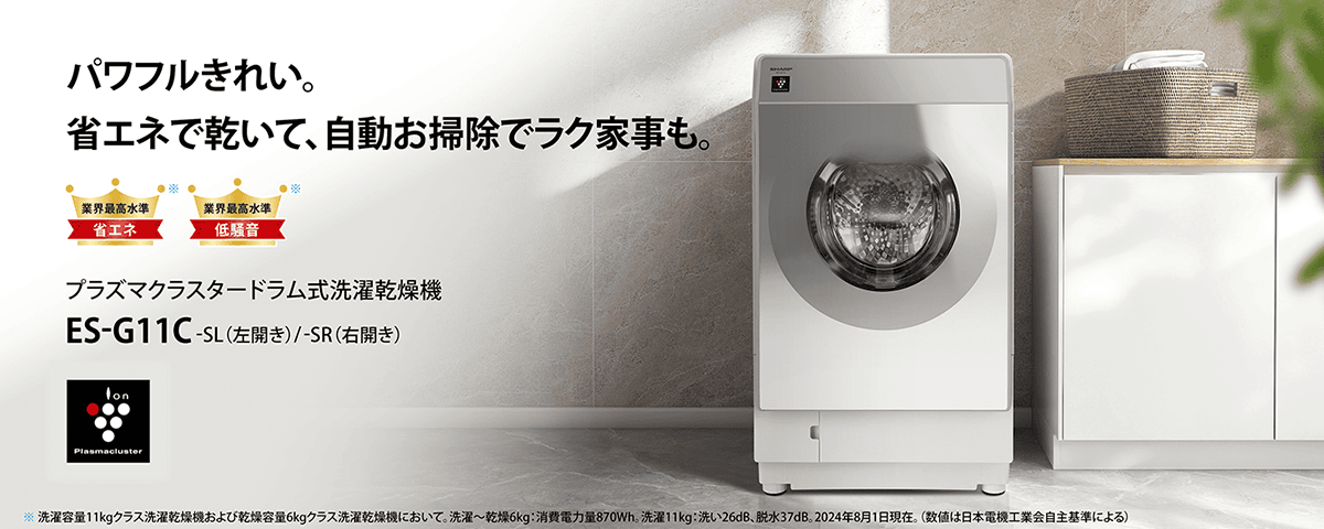 ドラム式洗濯機 シルバー系 ES-G11C-SR ［洗濯11.0kg /乾燥6.0kg