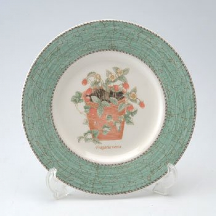 ウェッジウッド サラズガーデン プレート21cm（グリーン） | 洋食器の