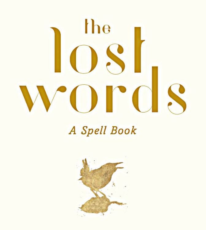 The Lost Words written by Robert MacFarlane and illustrated by