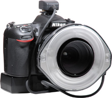 リングフラッシュシステム