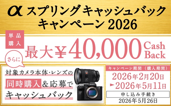 まいたけ様期間限定値下‼️SONY α65 ❤️スマホ転送 トリプル ソニー