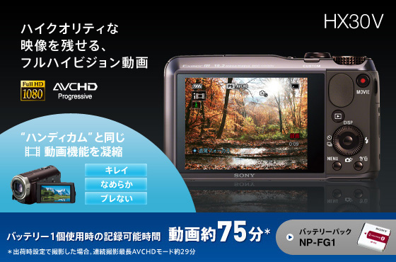 DSC-HX30V 特長 : フルハイビジョン動画撮影 | デジタルスチルカメラ