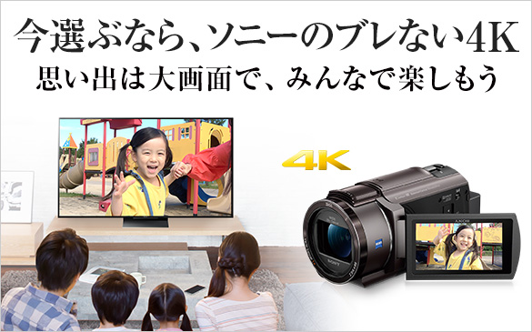 HDR-CX535 主な仕様 | デジタルビデオカメラ Handycam ハンディカム