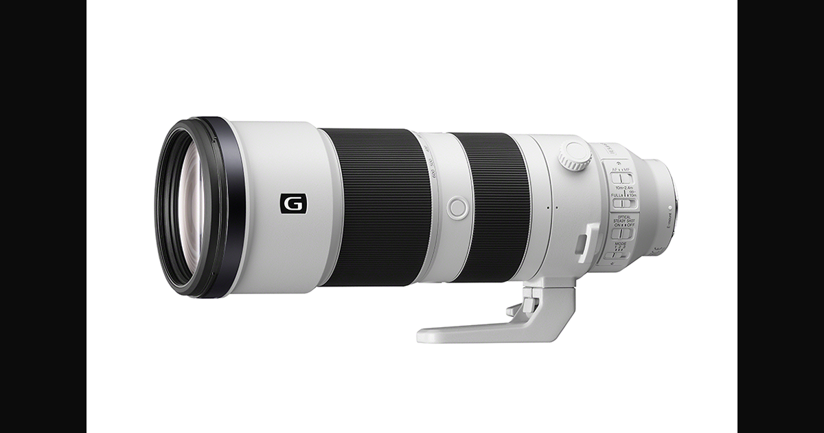 FE 200-600mm F5.6-6.3 G OSS Debut | α Universe | デジタル一眼