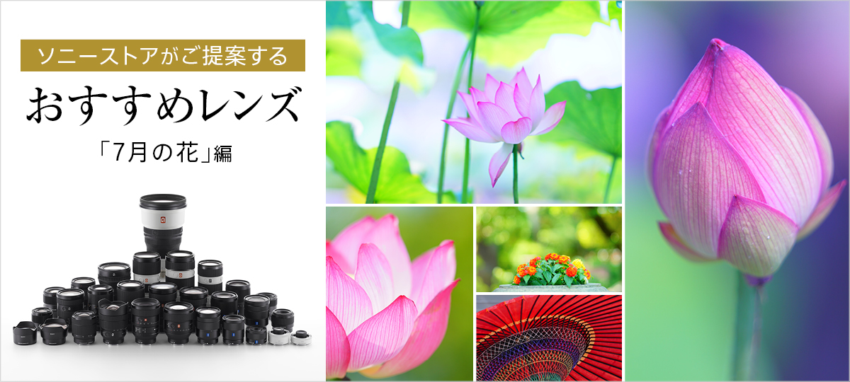 ソニーストアがご提案するおすすめレンズ「7月の花」編 | デジタル一眼