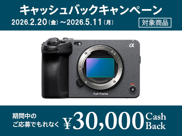 ILME-FX3A 購入 | プロフェッショナルカムコーダー | ソニー