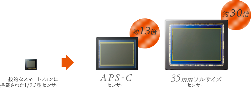 センサーサイズの違いを知って、αを使いこなそう 知っておきたい6つの