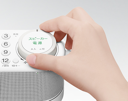 SRS-LSR100 特長 : その他の特長 | アクティブスピーカー／ネック