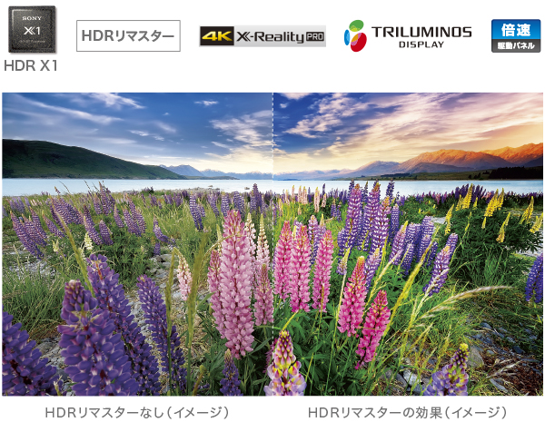 X8500Gシリーズ | テレビ ブラビア | ソニー