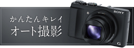DSC-HX50V 特長 : 高感度＆高画質 | デジタルスチルカメラ Cyber-shot