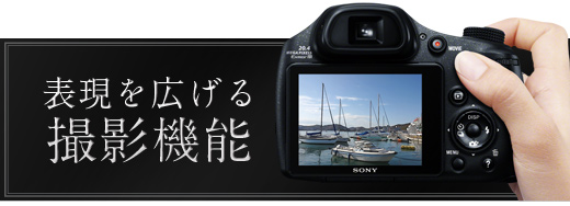 DSC-HX300 特長 : 豊富な撮影機能＆フルハイビジョン動画撮影