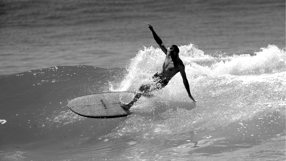 GATOHEROI（ガトヘロイ） - ロングボード（LONGBOARD）のシーコング