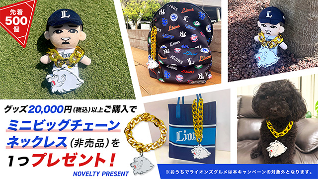 先着500個】オンライン限定『ミニビッグチェーンネックレス(非売品