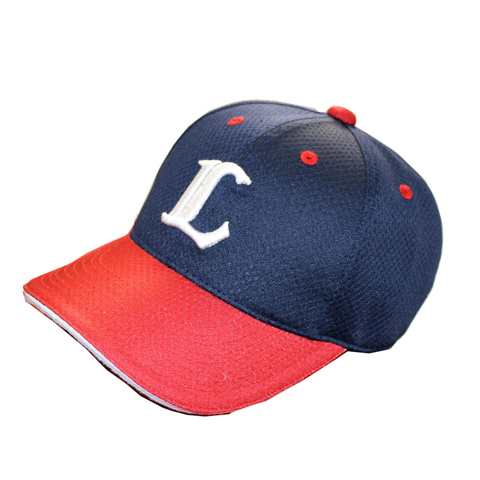 ライオンズ フェスティバルズ 2017 炎獅子【えんじし】ユニフォーム