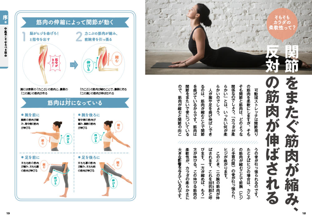 DVD カラダがスーッとラクになる 可動域ストレッチ｜西東社｜『人生を