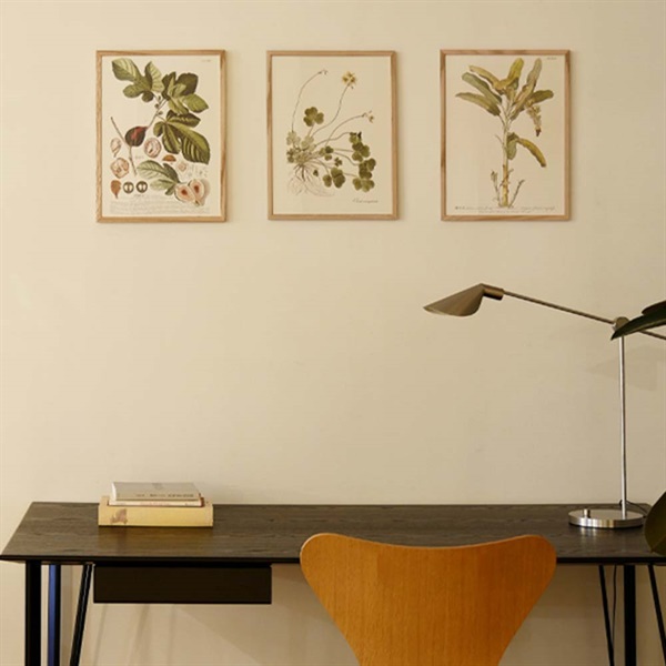 アートポスター フレーム付き 30×40cm / Oxalis compressaTHE DYBDAHL