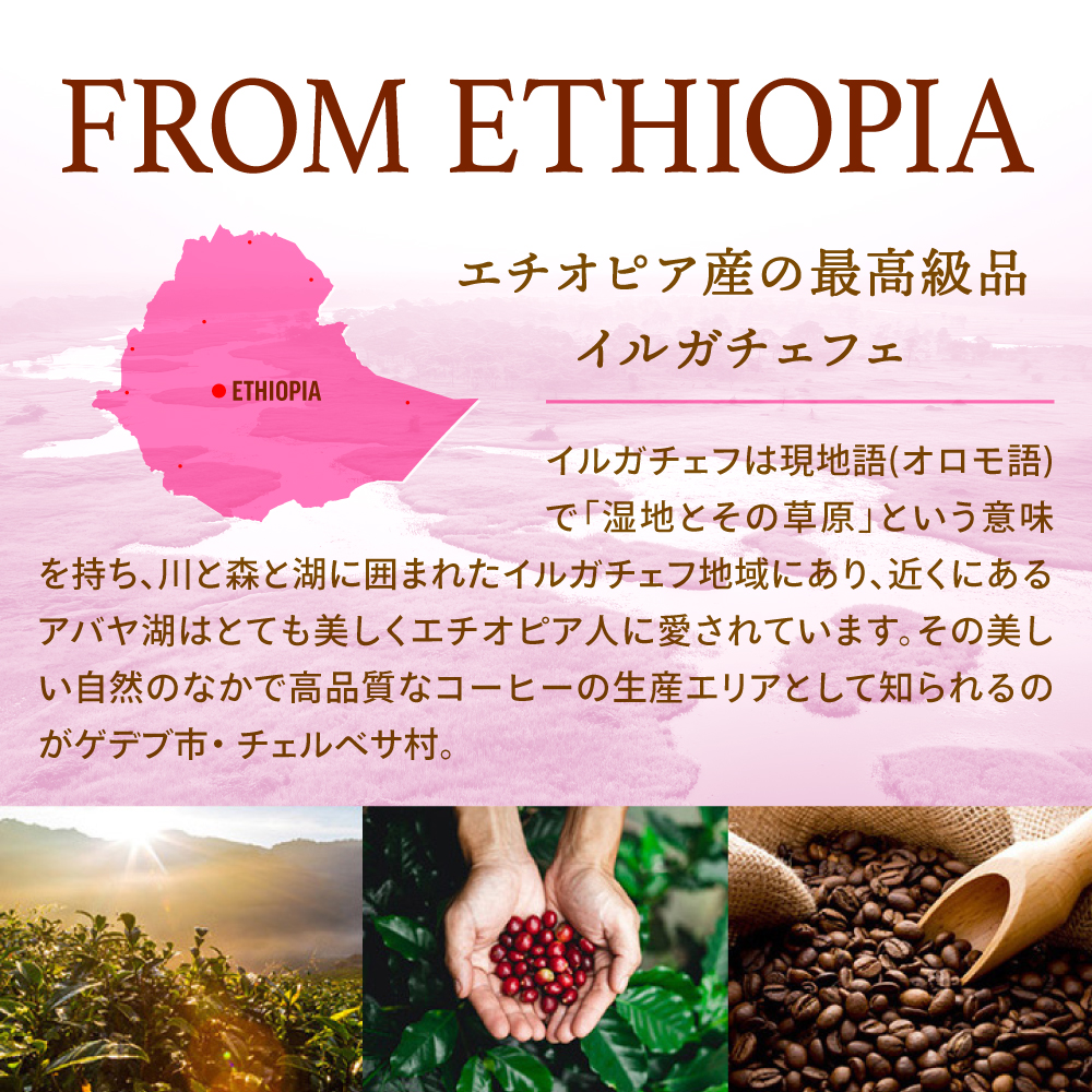 甘く芳醇なエリーゼプレジデント ドリップバッグ 30杯入り セット