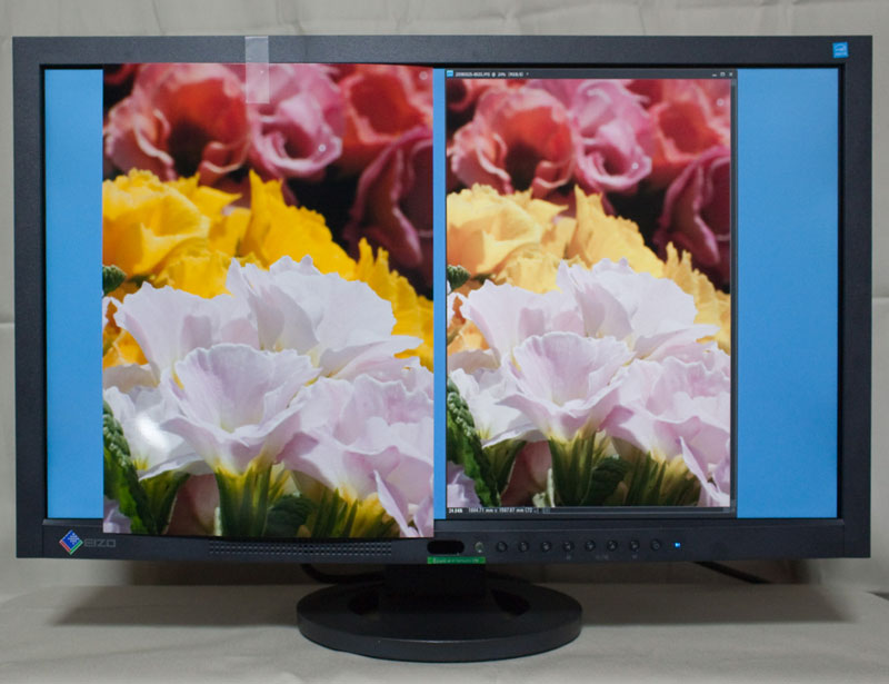 EV2334W-DLを使ってみた 【桜PC情報】