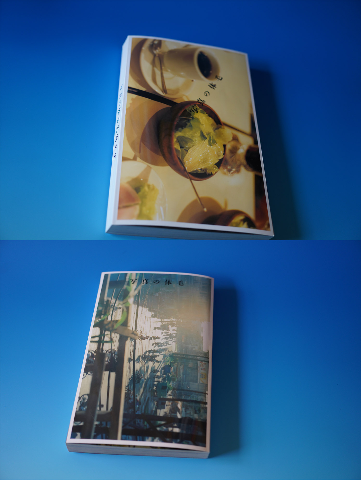 佐内 正史｜写真の体毛