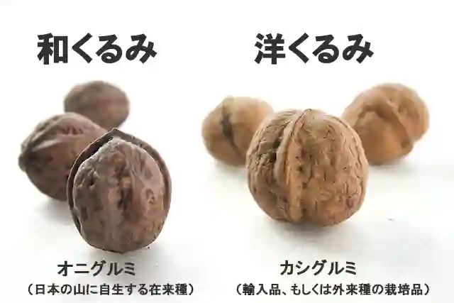 和くるみ（和胡桃・オニグルミ） 通販 200万個突破の人気商品
