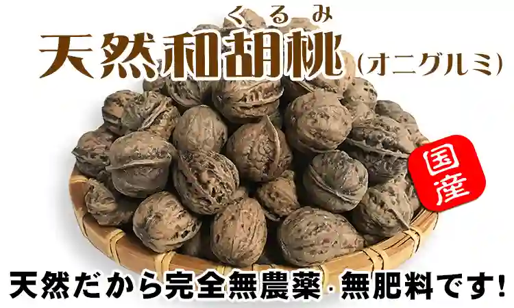 和くるみ（和胡桃・オニグルミ） 通販 200万個突破の人気商品