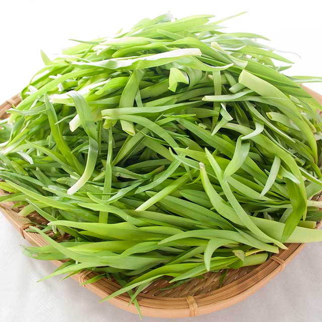 ノカンゾウ 通販 おいしい野草を卸価格で販売